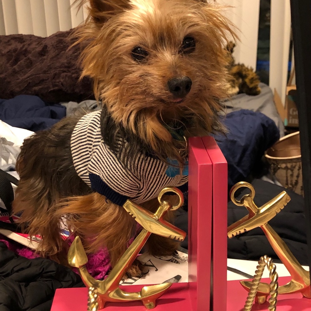 We ♥️ nautical items